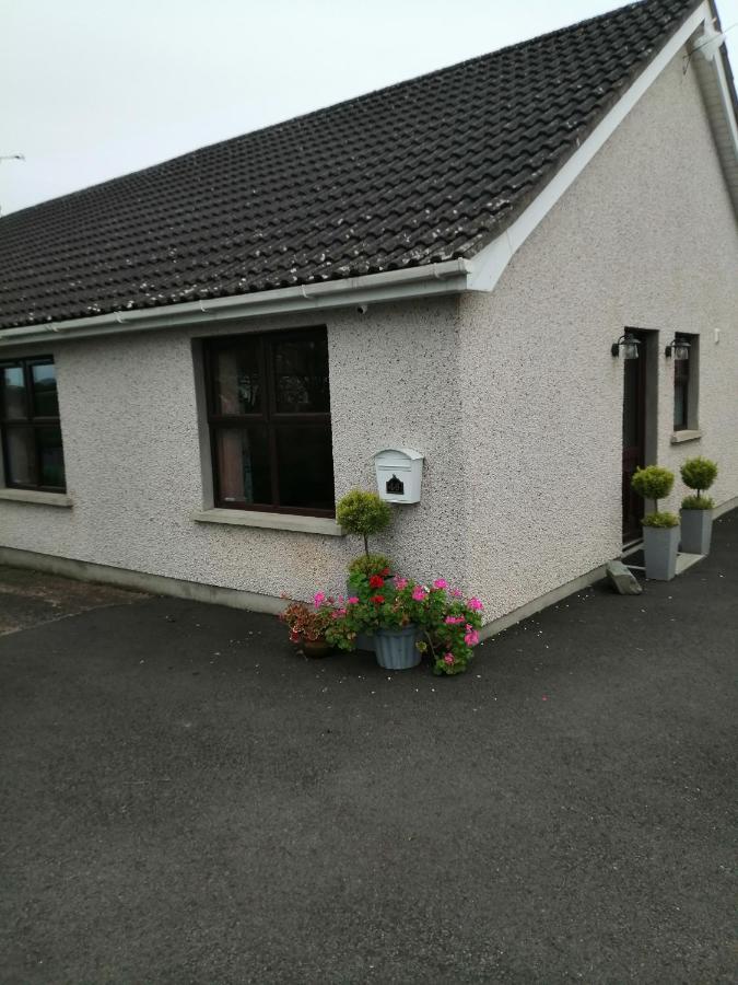 Lynn'S Lodge, International Airport 15Mins Randalstown Exterior photo